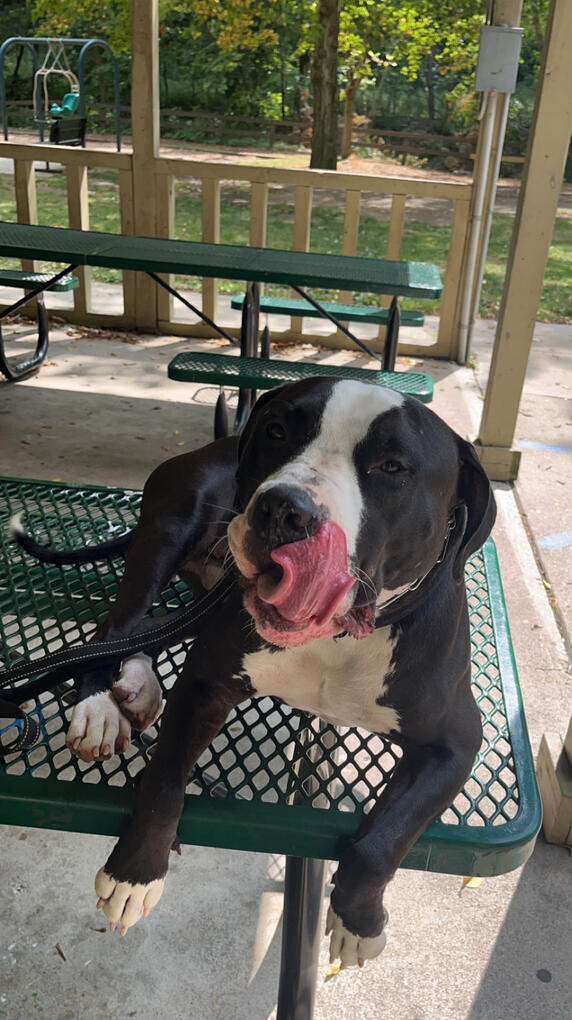 This is mike This is mike